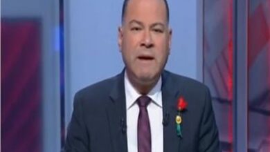 نشأت الديهي